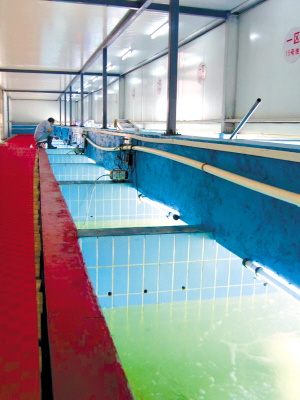 海峡两岸国通水产保税物流中心在顺德陈村开业